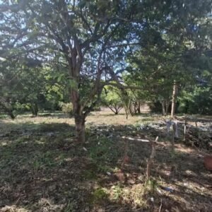 Terreno en Ticuantepe